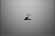 HP ZBook Create G7 Turbo Silver, Core i9-10885H, 32GB RAM, 1TB SSD, GeForce RTX 2080 SUPER Max-Q