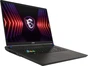 MSI Vector 17 HX A13VIG-673, Cosmos Gray, Core i9-13980HX, 32GB RAM, 2TB SSD, GeForce RTX 4090