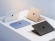 Microsoft Surface Laptop 7 13.8", Platin, Snapdragon X Plus, 16GB RAM, 512GB SSD 