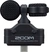 Zoom Am7