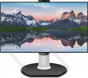 Philips P-line 329P9H, 31.5"