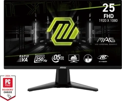 MSI MAG 255XFV, 24.5"