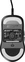 Endgame Gear XM2 8k v2 Gaming Mouse black, USB
