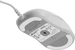 Endgame Gear XM2 8k v2 Gaming Mouse white frost, USB