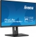 iiyama ProLite XUB2493QSU-B5, 23.8"