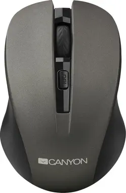 Canyon CNE-CMSW1GR Simple coloured graphite, USB