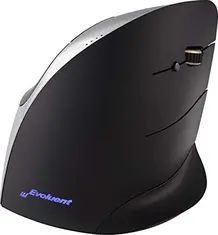 BakkerElkhuizen Evoluent C vertical mouse right silver, USB