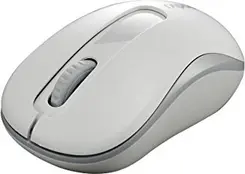 Rapoo M10 Plus wireless Optical Mouse white, USB