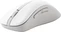 ASUS MD102 wireless Mouse белый, USB/Bluetooth