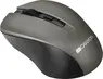 Canyon CNE-CMSW1GR Simple coloured graphite, USB