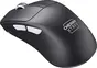 Cherry Xtrfy M64 Pro 8K wireless black, USB