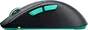 Cherry Xtrfy M64 wireless black, USB