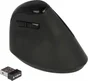 DeLOCK ergonomic USB mouse vertical black, wireless, USB