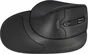 DeLOCK ergonomic optical 5-button mouse, wireless, right hander, with palm rest, USB
