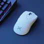 DeLUX M800 Ultra Tri-Mode 600mAh white, USB/Bluetooth