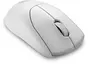 Dell Alienware Pro wireless Gaming Mouse, Lunar Light, USB