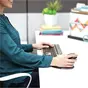 Fellowes Penguin ambidextrous vertical mouse, wireless, size L, black/silver, USB