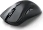 Glorious PC Gaming Race Model D 2 Pro wireless, 4K/8K Polling, black, USB