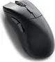 Glorious PC Gaming Race Model D 2 Pro wireless, 4K/8K Polling, black, USB