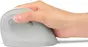 Kensington Pro Fit Ergo vertical wireless Mouse, white/grey, USB