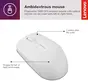 Lenovo 300 wireless Compact Mouse Cloud Grey, USB