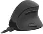 Natec Euphonie vertical wireless Mouse black, USB/Bluetooth
