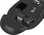 Natec Robin wireless Mouse blue, USB