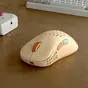 Pulsar Gaming Gears Xlite V2 mini wireless Retro Edition Brown, USB