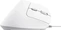 Trust Bayo II Ergonomic Mouse white, ECO certified, USB