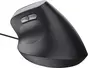 Trust Bayo II Ergonomic Mouse black, ECO certified, USB