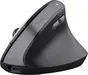 Trust Bayo II Ergonomic wireless Mouse black, ECO certified, USB