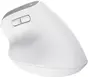 Trust Bayo+ Multidevice Ergonomic wireless Mouse white, ECO certified, USB/Bluetooth