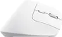 Trust Bayo+ Multidevice Ergonomic wireless Mouse white, ECO certified, USB/Bluetooth
