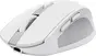 Trust Ozaa Compact wireless Mouse white, USB/Bluetooth