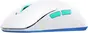 Xtrfy M8 wireless white, USB