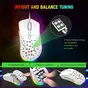 Ziyou long D19 RGB Gaming Mouse white, USB