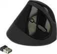 DeLOCK ergonomic USB mouse vertical black, wireless, USB