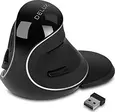 DeLUX M618 Plus GX wireless vertical Mouse, right black, USB