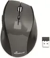 MediaRange wireless Optical 5-button Mouse, carbon-Optics black, USB