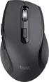 Trust Sura Comfortable wireless Mouse, USB