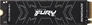 Kingston FURY Renegade SSD 1TB, M.2 2280 / M-Key / PCIe 4.0 x4